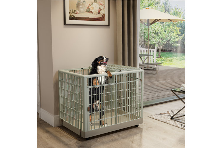 Pvc dog crate best sale